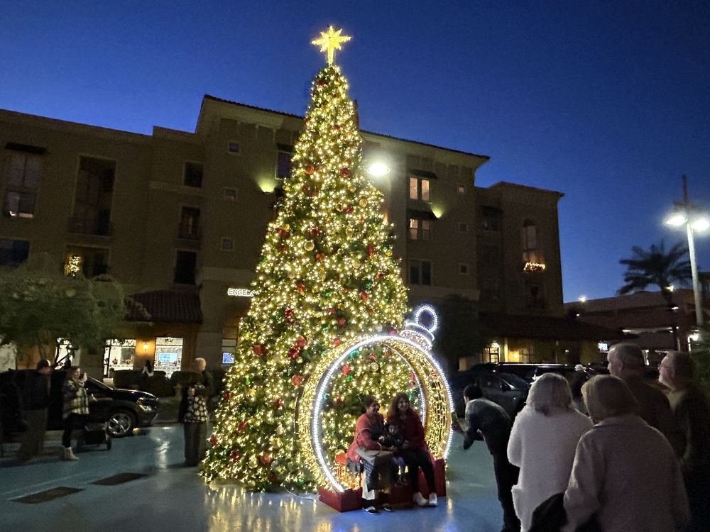 Holiday Light Displays