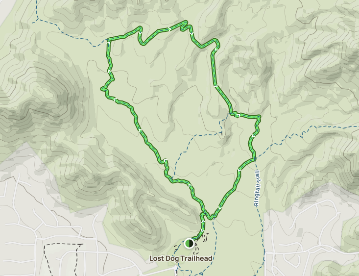 Lost Dog Wash Trail to Ringtail Trail Loop