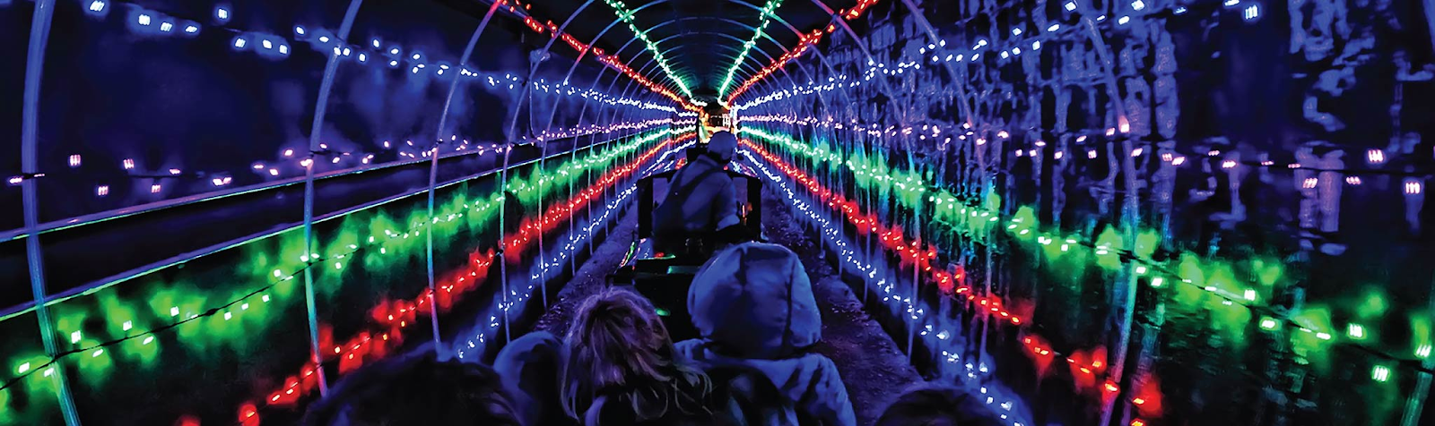 Christmas lights at McCormick-Stillman Railroad Park.