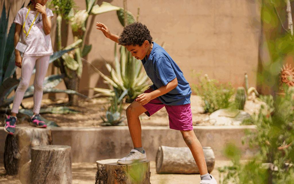 Desert Botanical Garden (Phoenix) – Cactus Kids Activities