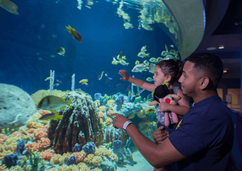 Arizona Boardwalk & OdySea Aquarium