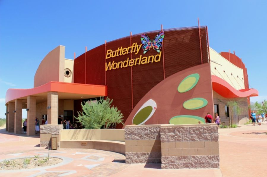 Butterfly Wonderland