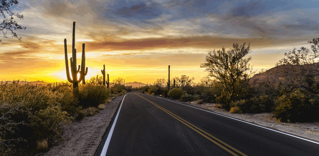 Drive Scottsdale Road at Dusk
