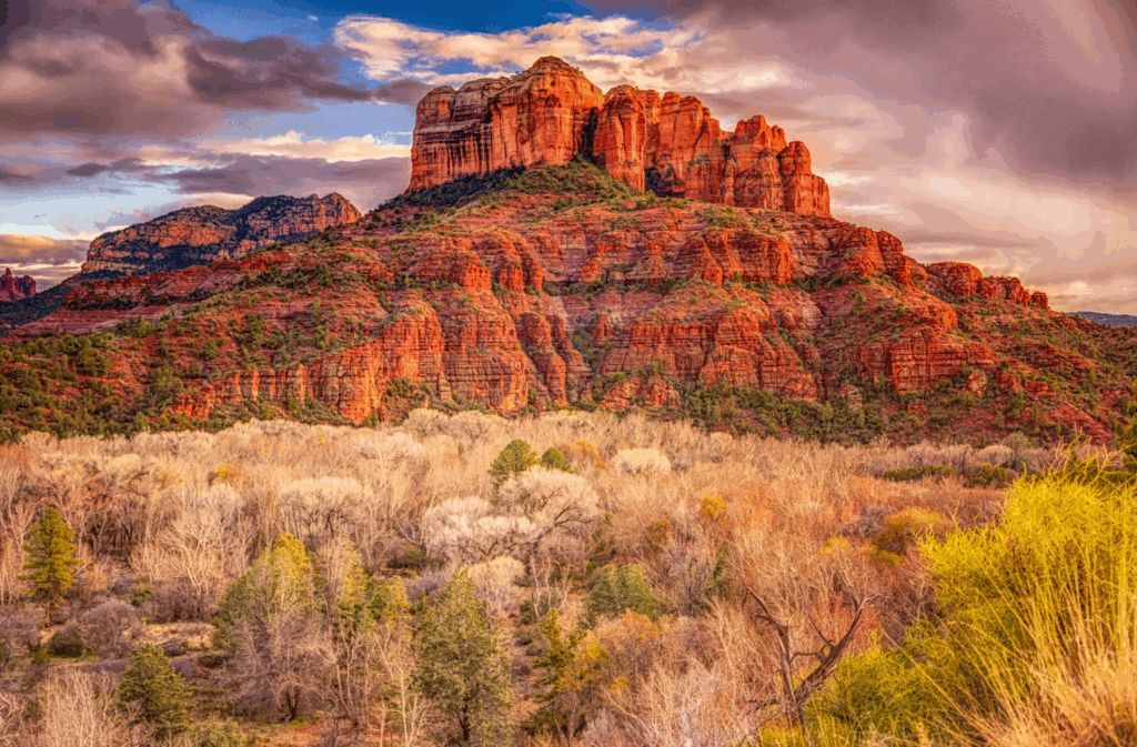 An image of Sedona’s red rocks in a desert landscape. 