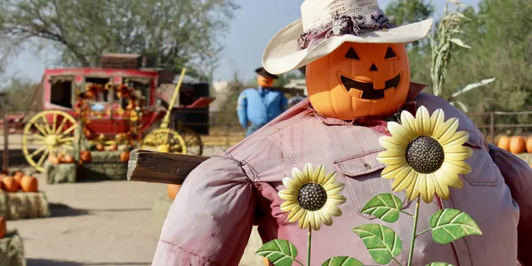 Visit MacDonald’s Ranch for a Classic Pumpkin Patch Experience