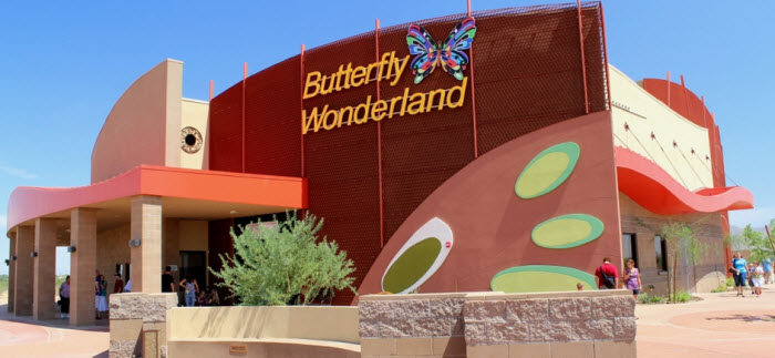Butterfly Wonderland