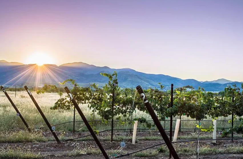 Scottsdale Wine Trail